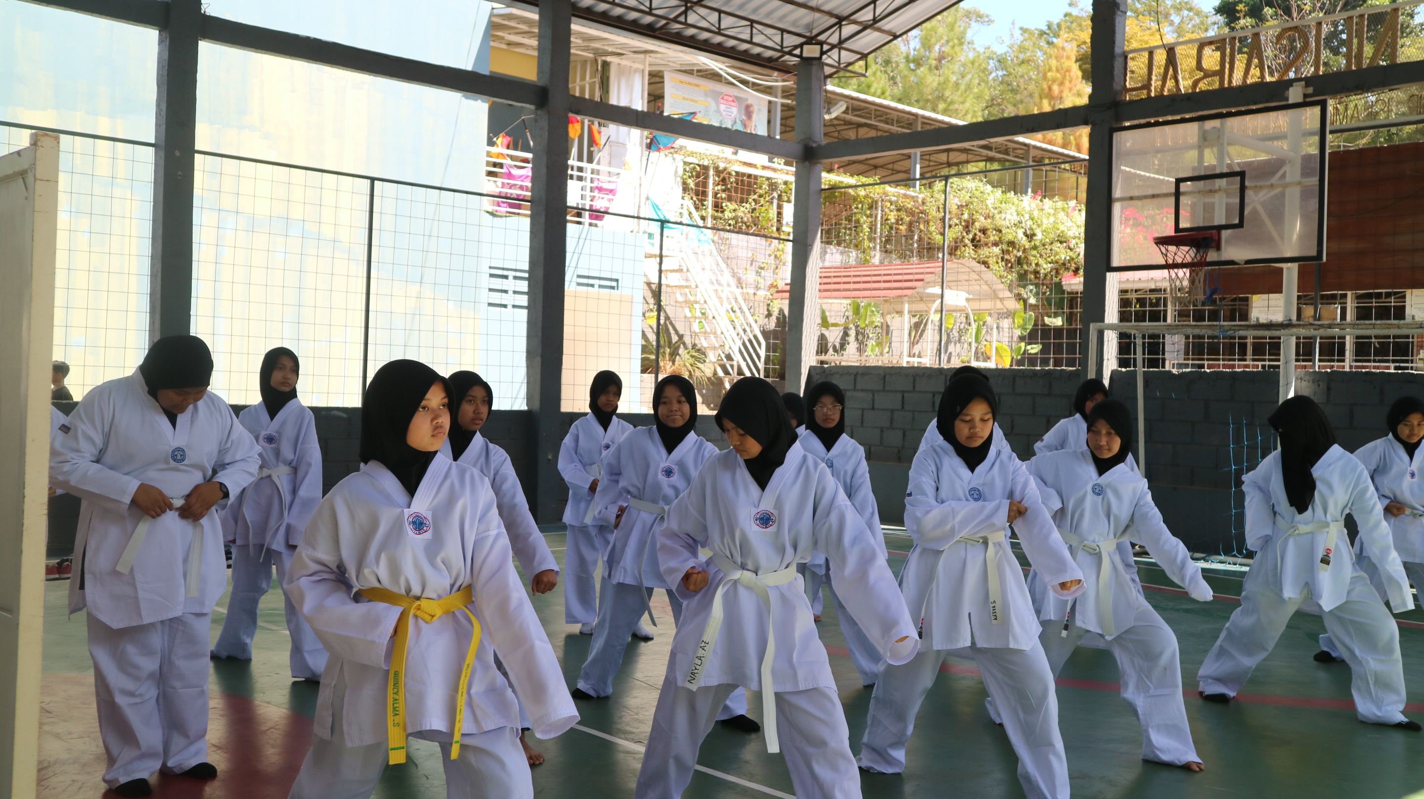 Taekwondo
